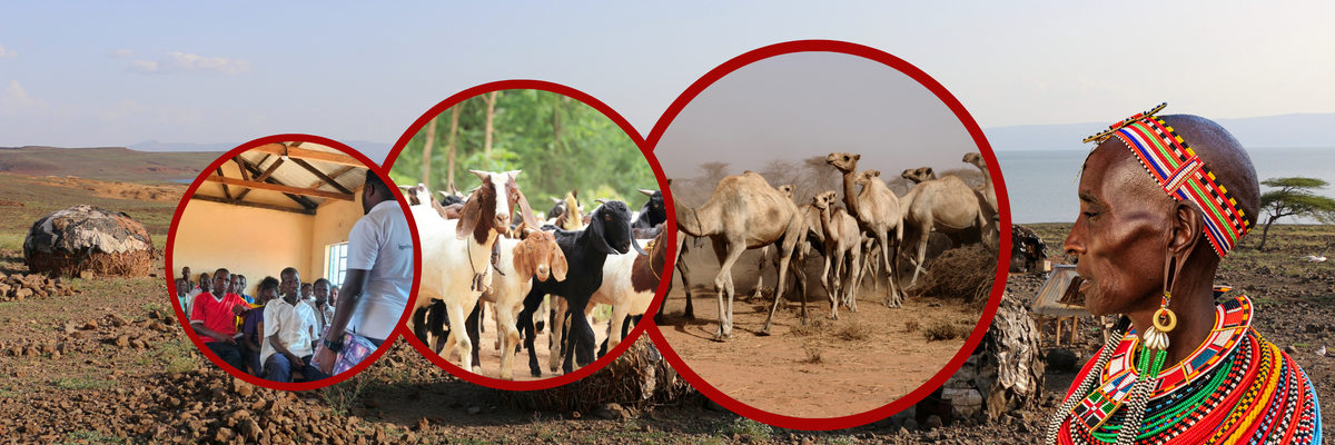 Voices from the Rangelands
