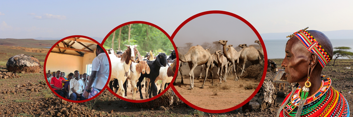 Voices from the Rangelands
